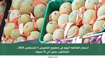 أسعار الفاكهة اليوم في مطروح الخميس 7 أغسطس 2025.. الكنتالوب يصل إلى 15 جنيها